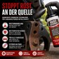 🔥 Heute -50 %! 🚗 Rostumwandler-Spray für Autos