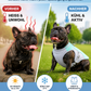 🔥 Letzter Tag -50% ❄️🐾 Kühlweste für Hunde im Sommer