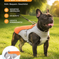 🔥 Letzter Tag -50% ❄️🐾 Kühlweste für Hunde im Sommer
