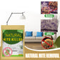 🔥 LETZTER TAG | Natürliche Milben‑Beutel geruchsneutral 50 % Rabatt