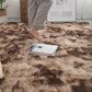 Plüschbodenmatte Dekorativer Teppich, Moderner Bodenbelag für Wohnzimmer Schlafzimmer Wohnkultur, Raumdekoration
