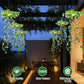 🔥 Heute -50 %! 🌿 Solar-Efeu-Lichterkette – wetterfest mit 8 Lichtmodi für Garten, Balkon & Terrasse
