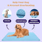 ⏳🔥NUR FÜR BEGRENZTE ZEIT: 50 % RABATT! 🐶 Kühlmatte für Hunde – 4-mal effektivere Kühlung für heiße Sommertage ❄️✨