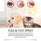🔥 -50% Heute 🐶🌿 Natürliches Floh- & Zeckenspray