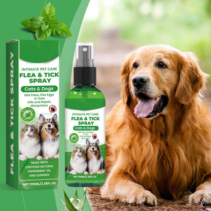 🔥 -50% Heute 🐶🌿 Natürliches Floh- & Zeckenspray