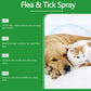 🔥 -50% Heute 🐶🌿 Natürliches Floh- & Zeckenspray