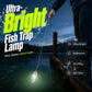 🎁 1 Kaufen = 1 Gratis 🎣 Wasserdichte LED-Angelleuchte