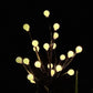🔥 Heute -50 % 🌳 Solar-LED Gartenleuchte