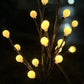 🔥 Heute -50 % 🌳 Solar-LED Gartenleuchte