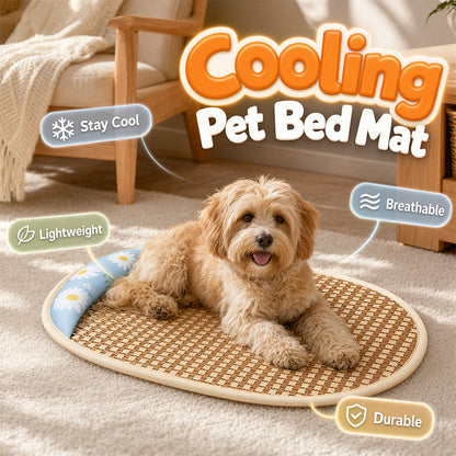🔥 Heute -50 %! 🐶 Kühlendes Hundebett