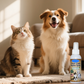 🔥 Heute -50 %! 🐶 Zahnpflegespray für Haustiere