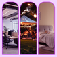 🔥 Heute -50 %! 🦟 LED-Mückenlampe – leise, kompakt & ideal für Zuhause und Camping