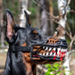 🎃 Heute -50 %! 🐶 Halloween-Hundemaulkorb mit gruseligen Vampirzähnen