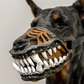 🎃 Heute -50 %! 🐶 Halloween-Hundemaulkorb mit gruseligen Vampirzähnen