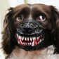 🎃 Heute -50 %! 🐶 Halloween-Hundemaulkorb mit gruseligen Vampirzähnen