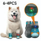 🔥 Heute -50 %! 🐶 Leuchtende Hundeschuhe mit Mesh-Gewebe