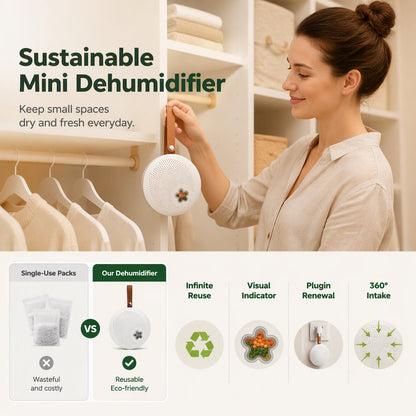 Wiederverwendbarer Mini-Luftentfeuchter für zu Hause