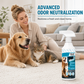 🐾 Haustier-Flecken- und Geruchsentferner-Spray, für Teppiche, Polster und Böden, enzymatisch, geruchsneutralisierend-Gcom