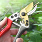 🔥Sauberes Beschneiden im Handumdrehen! SK5 Hochleistungs-Gartenschere